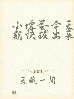 小坏蛋今天危险期快拔出来
