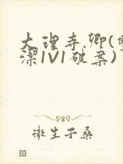 大理寺.卿(双洁1V1破案)封面