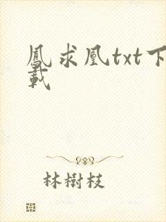 凤求凰txt下载
