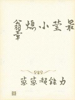 翁熄小莹最新节章