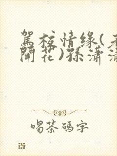 驾校情缘(老树开花)孙潇潇笔趣阁