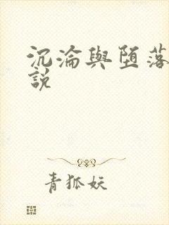 沉沦与堕落的小说封面