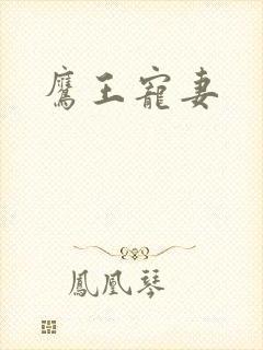 鹰王宠妻