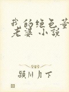 我的绝色董事长老婆 小说