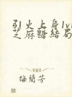 引火上身1v1芝麻糖结局封面