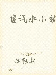 盐汽水小说