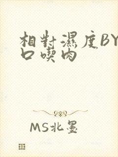 相对湿度BY大口吃肉