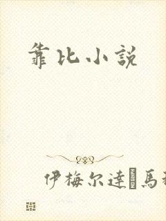 靠比小说