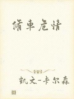 修车危情