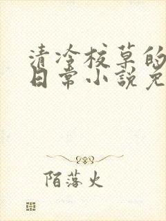 清冷校草的堕落日常小说免费阅读