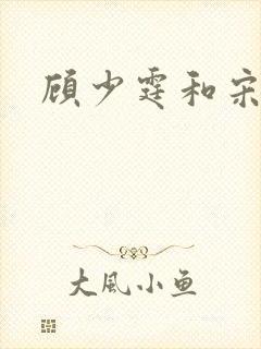 顾少霆和宋斯曼