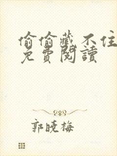 偷偷藏不住小说免费阅读