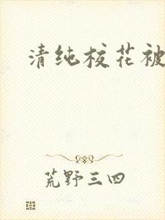 清纯校花被c