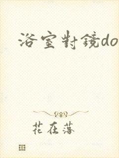 浴室对镜doi