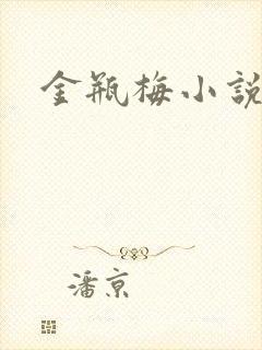 金瓶梅小说下载