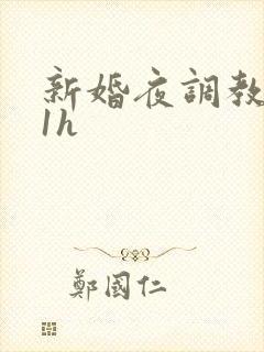 新婚夜调教1v1h