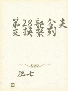 第28部分夫妇交换系列封面