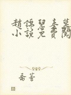 赵锦儿秦慕修的小说免费阅读全文