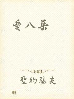 爱八岳封面