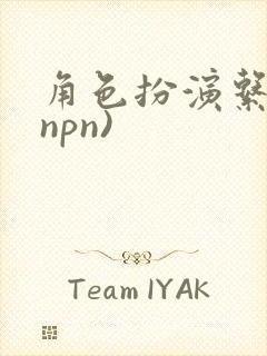 角色扮演系统(npn)封面