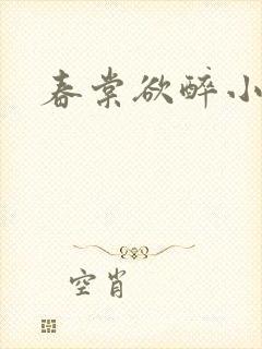 春棠欲醉小说