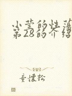 小莹的性荡生活第28的介绍封面