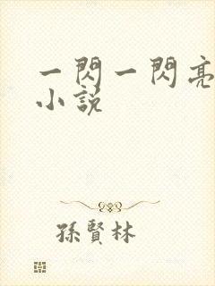 一闪一闪亮星星小说
