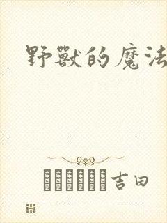 野兽的魔法师