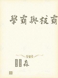 学霸与校霸
