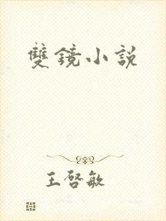 双镜小说
