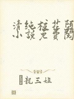 清纯校花堕落记小说免费阅读