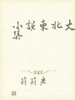 小说东北大炕全集
