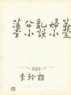 荡公乱妇第51章小说小莹