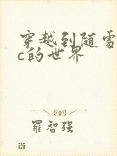 穿越到随处可以c的世界