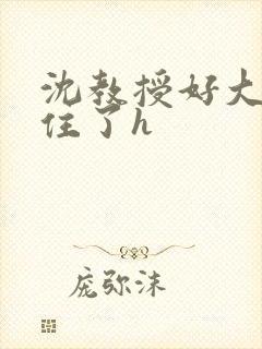 沈教授好大含不住了h