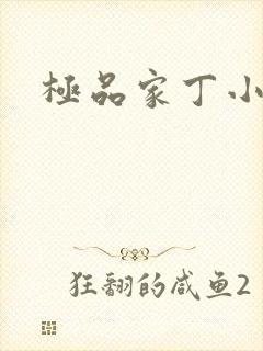 极品家丁小说