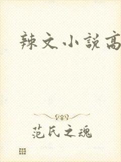 辣文小说高h封面