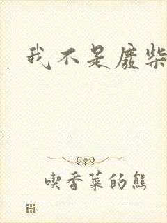 我不是废柴