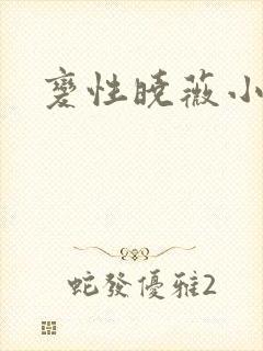 变性晓薇小说