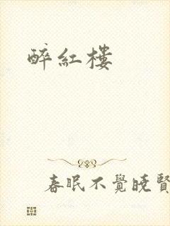 醉红楼