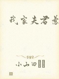 我家夫君惹不起