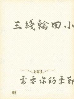 三线轮回小说