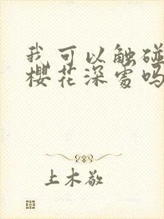 我可以触碰你的樱花深处吗封面