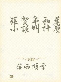 张贺年和叶繁姿小说叫什么名字