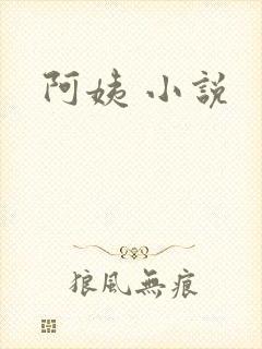 阿姨 小说