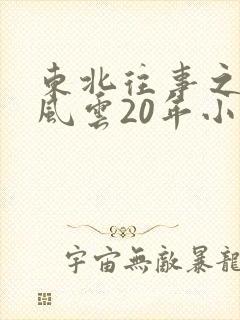 东北往事之黑道风云20年小说