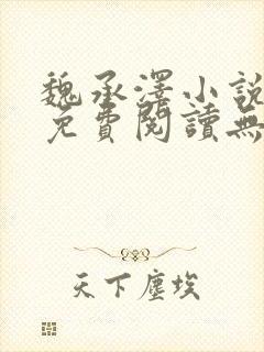 魏承泽小说全文免费阅读无弹窗笔趣