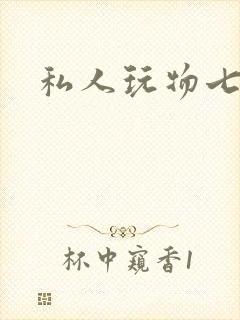私人玩物七七封面