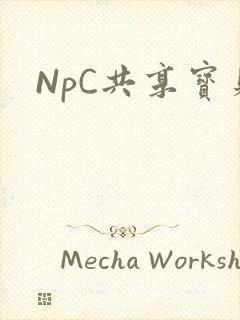 NpC共享宝贝
