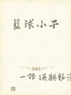 篮球小子